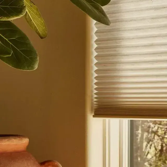 Pleated Window Shades